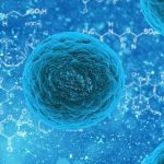 Norovirus. La nueva amenaza.